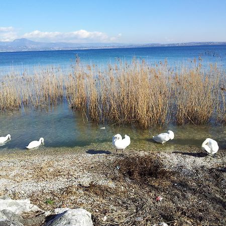 Debora Maison B&B Colombare Di Sirmione Εξωτερικό φωτογραφία