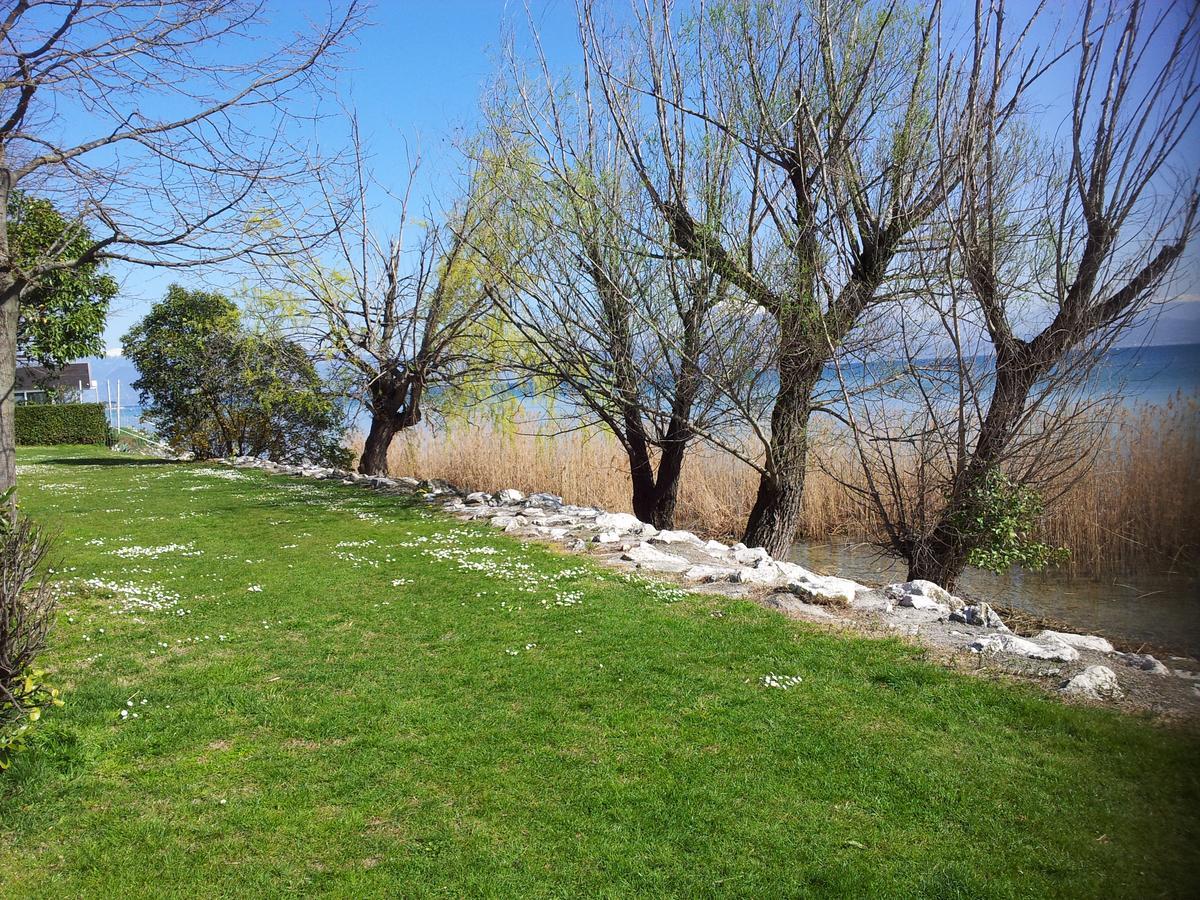 Debora Maison B&B Colombare Di Sirmione Εξωτερικό φωτογραφία