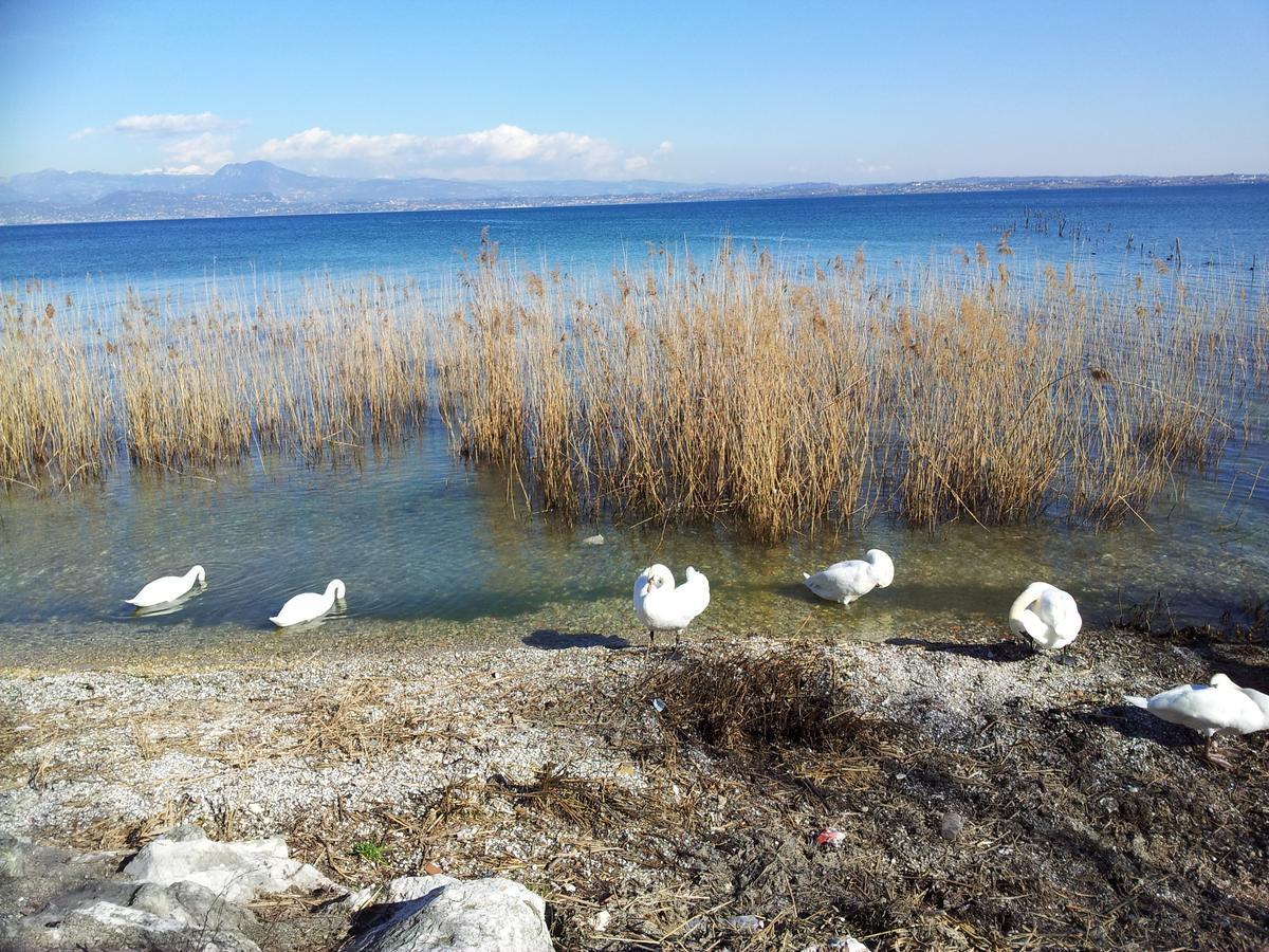 Debora Maison B&B Colombare Di Sirmione Εξωτερικό φωτογραφία