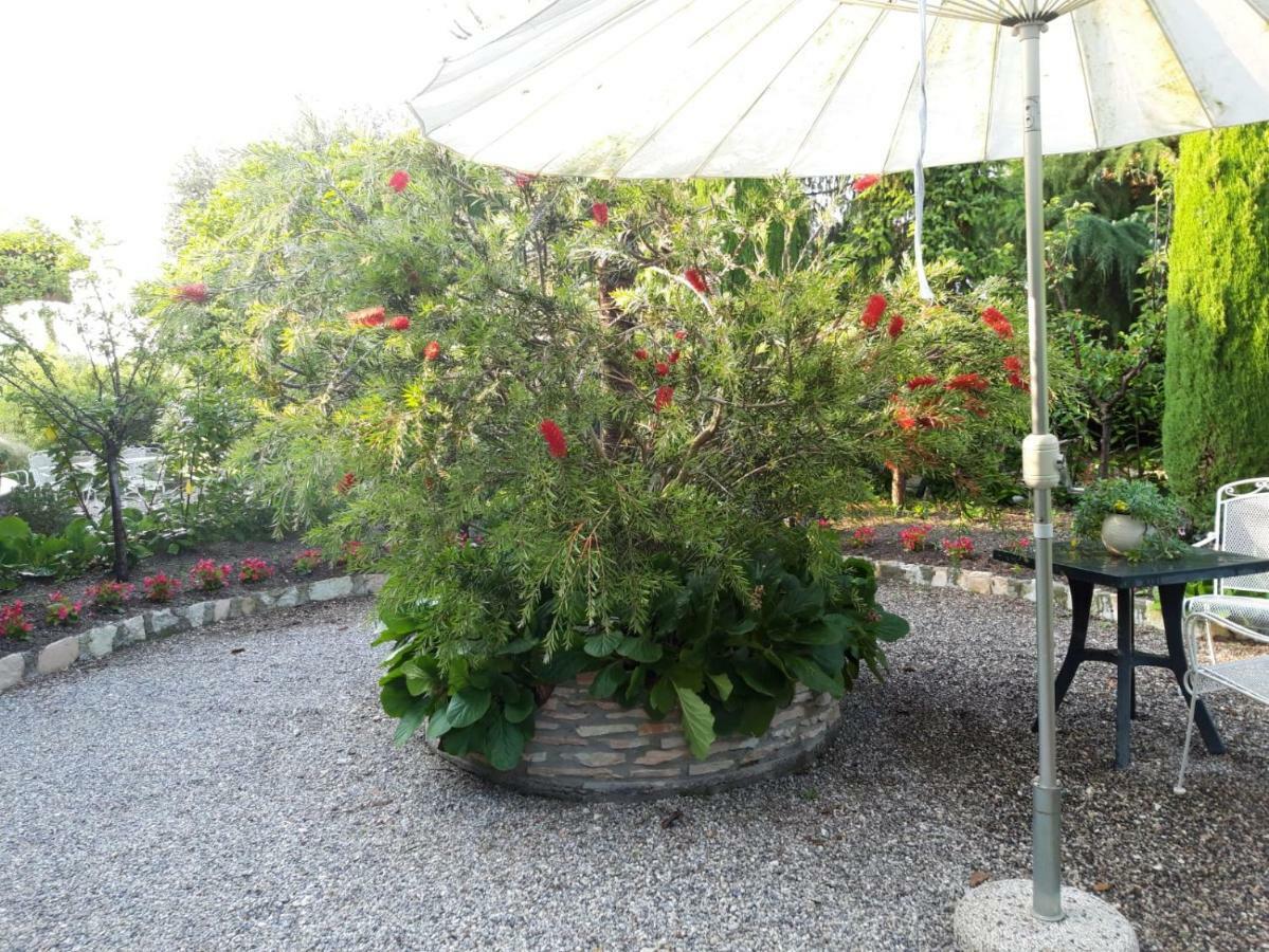 Debora Maison B&B Colombare Di Sirmione Εξωτερικό φωτογραφία